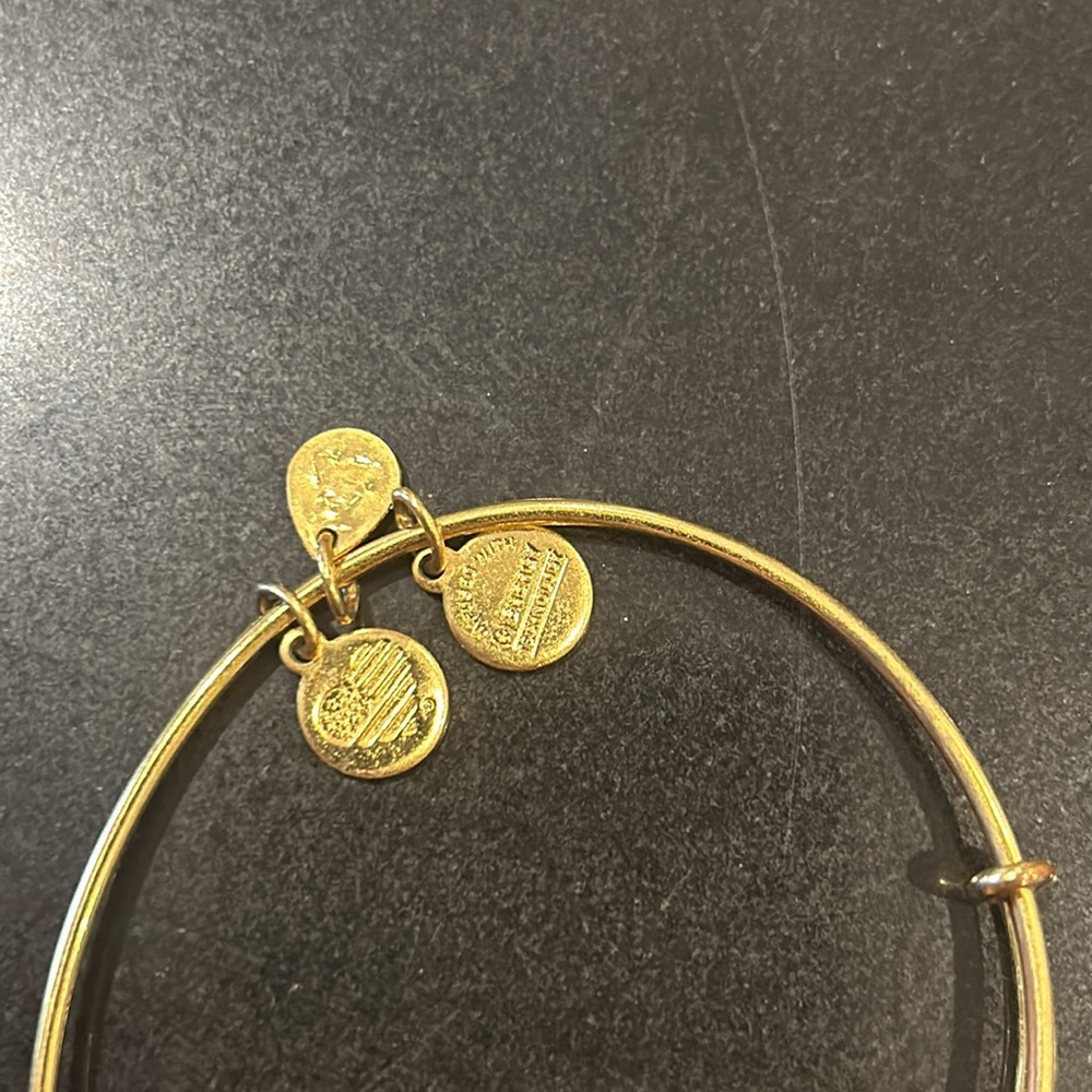 Alex & Ani piñata bracelet - Picture 3 of 4